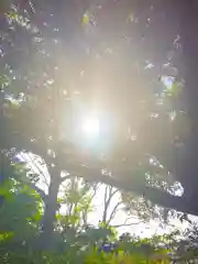 金刀比羅(琴平)神社(茨城県)