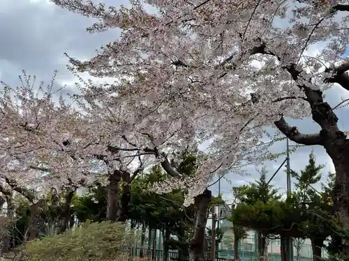 一本栗地主神社の自然