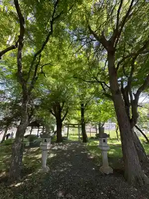 桂川神社(山梨県)