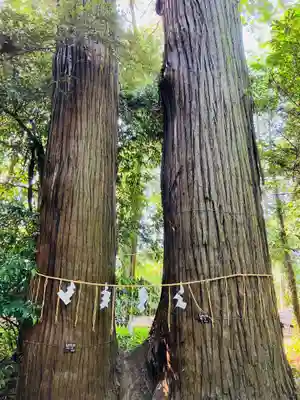 日吉神社(千葉県)