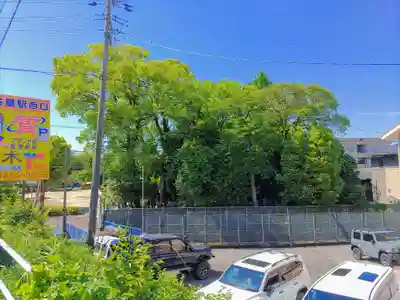 市寸島社（辨財天神社）の自然