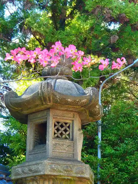 白山神社のその他建物