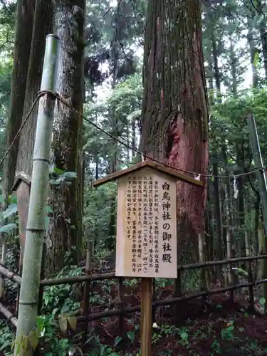 白鳥神社(宮崎県)