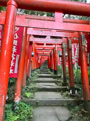 佐助稲荷神社の鳥居
