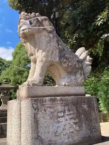 平塚八幡宮の狛犬