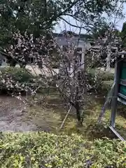 藤樹神社(滋賀県)