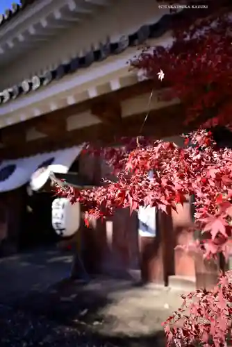 目の霊山　油山寺(静岡県)