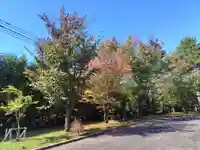 美瑛神社の自然