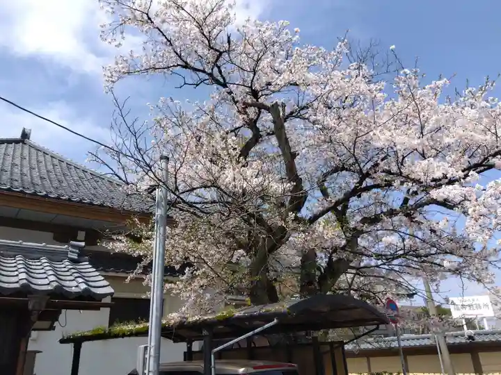 光照寺(福井県)