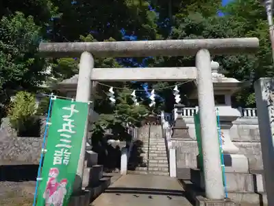 大泉氷川神社の鳥居