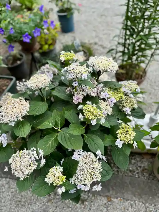 源九郎稲荷神社(奈良県)