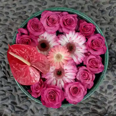 帯廣神社の手水舎