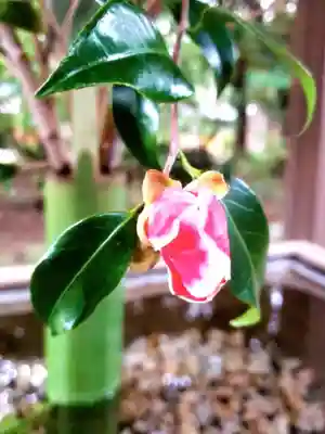 赤坂氷川神社(東京都)