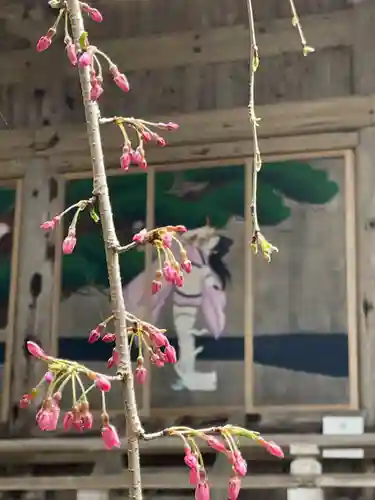 国上寺(新潟県)