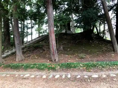 白山社（下小口白山社）の本殿・本堂