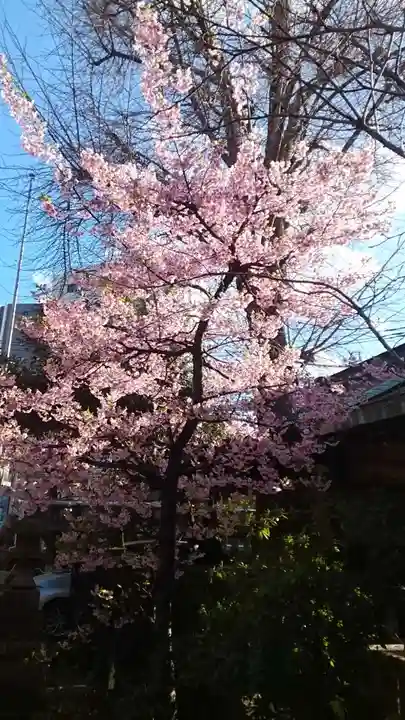 小野照崎神社(東京都)