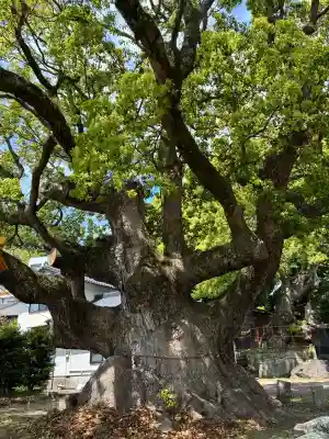 土肥神社(静岡県)