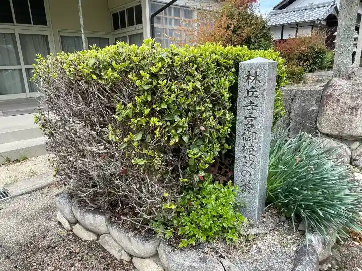 地安寺の{uncategorized: "未分類", other: "その他", undefined: "問題あり", building: "その他建物", grave: "お墓", sacred_gate: "鳥居", guardian: "狛犬", statue: "像", buddha: "仏像", history: "歴史", nature: "自然", garden: "庭園", animal: "動物", pagoda: "塔", temizu: "手水舎", mountain_gate: "山門・神門", sanctuary: "本殿・本堂", subordinate: "末社・摂社", art: "芸術", scenery: "景色", jizo: "地蔵", ema: "絵馬", goshuin: "御朱印", omikuji: "おみくじ", items: "授与品その他", amulet: "お守り", goshuincho: "御朱印帳", eats: "食事", festival: "お祭り", votive_dance: "神楽", shichigosan: "七五三参", wedding: "結婚式", experience: "体験その他", initially: "初詣", around: "周辺", anti_infection: "感染症対策"}