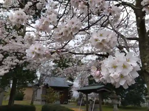 白山神社(福井県)