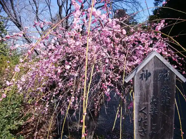 進雄神社(群馬県)