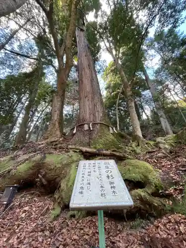 貴船神社結社(京都府)