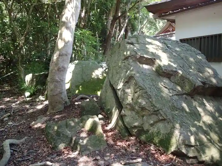 保久良神社の自然