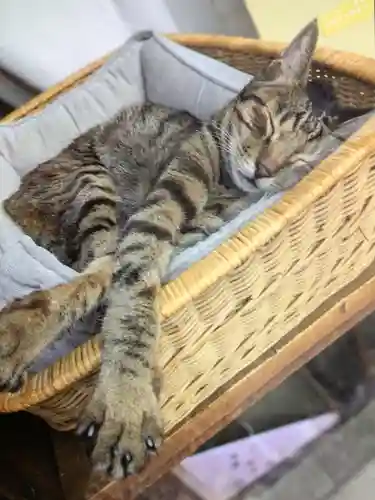 中野沼袋氷川神社(東京都)