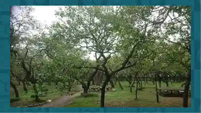 谷保天満宮(東京都)