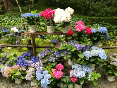 室生寺(奈良県)