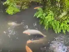 石山寺の庭園