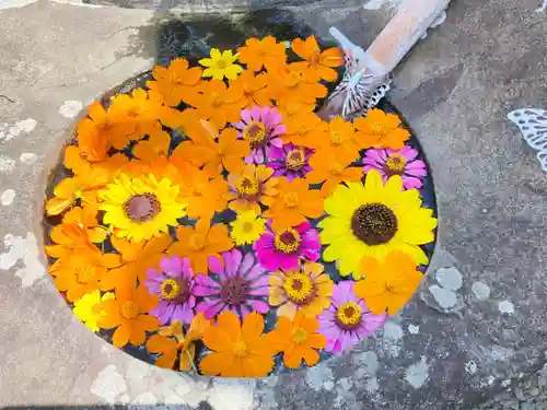 真言宗　善通寺派　薬王寺の手水舎