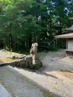 下山神社の狛犬