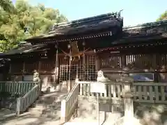 野田八幡宮の本殿