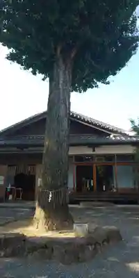 大井神社の自然