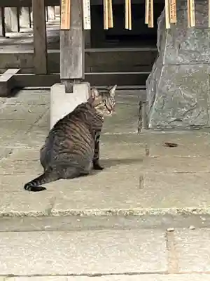 大宝八幡宮(茨城県)