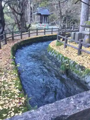 戸ノ口堰水神社の周辺