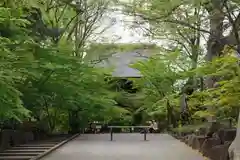 淨眞寺(東京都)