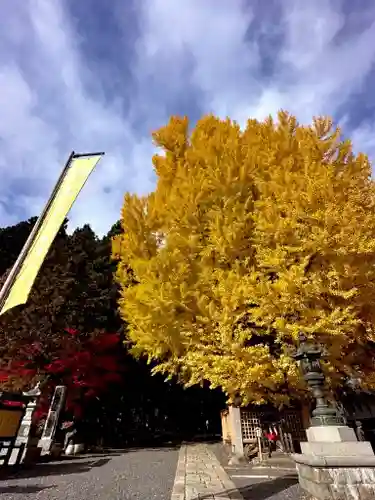 熊野大社(山形県)