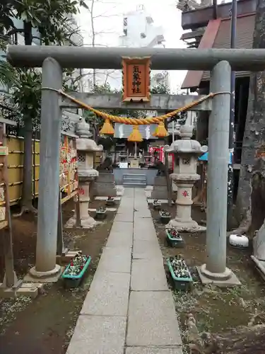 高円寺氷川神社の鳥居