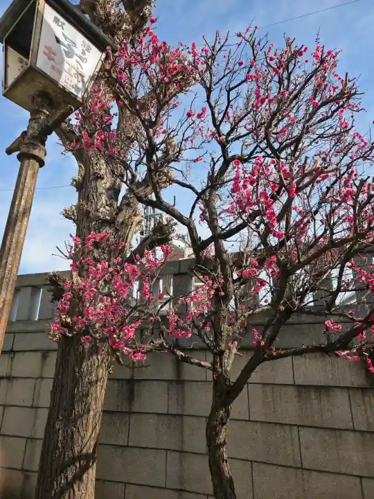 大國神社の{uncategorized: "未分類", other: "その他", undefined: "問題あり", building: "その他建物", grave: "お墓", sacred_gate: "鳥居", guardian: "狛犬", statue: "像", buddha: "仏像", history: "歴史", nature: "自然", garden: "庭園", animal: "動物", pagoda: "塔", temizu: "手水舎", mountain_gate: "山門・神門", sanctuary: "本殿・本堂", subordinate: "末社・摂社", art: "芸術", scenery: "景色", jizo: "地蔵", ema: "絵馬", goshuin: "御朱印", omikuji: "おみくじ", items: "授与品その他", amulet: "お守り", goshuincho: "御朱印帳", eats: "食事", festival: "お祭り", votive_dance: "神楽", shichigosan: "七五三参", wedding: "結婚式", experience: "体験その他", initially: "初詣", around: "周辺", anti_infection: "感染症対策"}