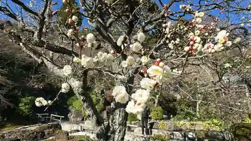 長谷寺(神奈川県)