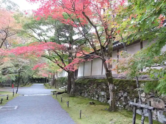 二尊院の建物その他