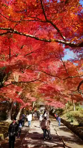 毘沙門堂門跡(京都府)