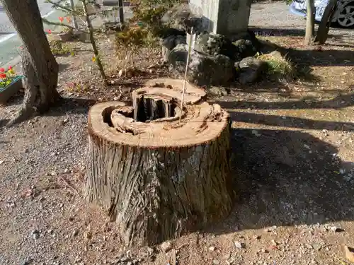 北野天神社の自然