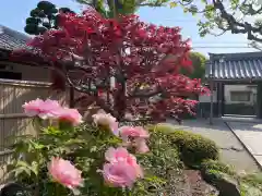 梅香寺(三重県)