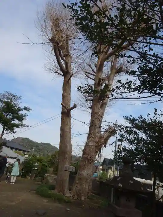 御霊神社(神奈川県)