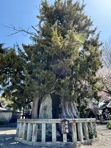 道成寺(和歌山県)