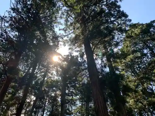 平泉寺白山神社の自然
