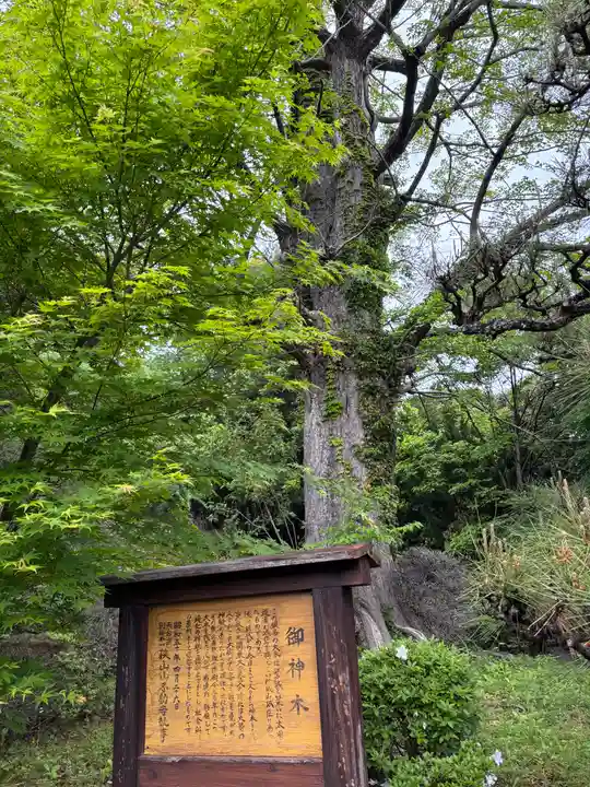 狭山山不動寺(埼玉県)