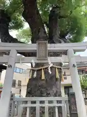 八坂神社(大阪府)